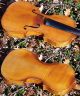 Two Fine Antique Violins For Restoration String photo 6