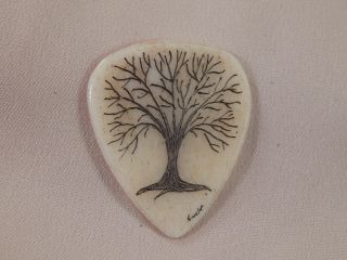 Scrimshaw Bovine Bone Guitar Pick - Tree Of Life photo