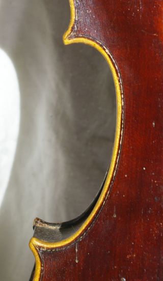 Interesting Antique Violin Schrotter For Restoration photo