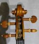 Antique Italian Labeled Violin Stefano Scarampella Mantova 1908 Ready To Play String photo 3