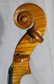 Antique Italian Labeled Violin Stefano Scarampella Mantova 1908 Ready To Play String photo 4
