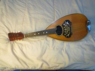Vintage Bowl Back Mandolin Made By American Conservatory photo