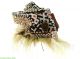 Kuba Royal Helmet Mask With Beads Cowrie Shells Africa Was $350.  00 Other African Antiques photo 1