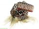 Kuba Royal Helmet Mask With Beads Cowrie Shells Africa Was $350.  00 Other African Antiques photo 2