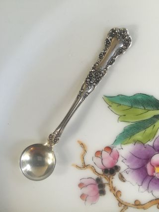 Gorham Buttercup Sterling Silver Salt Spoon photo