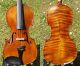Antique German Violin Labelled Alois M.  Palfner,  Graz,  1907.  Outstanding Tone String photo 1