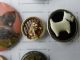 13 Buttons Dogs & Cats Antique Vintage Glass Celluloid Buffed Kittens In Basket Buttons photo 2