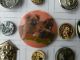 13 Buttons Dogs & Cats Antique Vintage Glass Celluloid Buffed Kittens In Basket Buttons photo 5