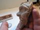 Taino Cemi Head Arawak Pre - Columbian Archaic Ancient Artifact Puerto Rico Mayan The Americas photo 4