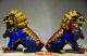 A Pair Collectible Chinese Cloisonne Handwork Lion Statues Foo Dogs photo 5