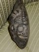 Wonderful Taino Pre Columbian Stone Frog And Human Face The Americas photo 3