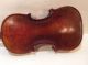 Wonderful Antique Savarus Brady Cambridge Mass.  4/4 Violin 1929 String photo 3