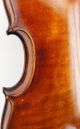 Fine,  Old Antique Scottish Violin - Labeled Mathew Hardie,  Ready - To - Play, String photo 11