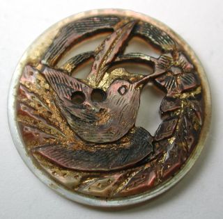 Antique Pierced Carved Shell Button Hummingbird & Flower Design photo