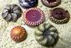 Antique Buffed Celluloid Buttons Shades Of Purple Ornate Art Deco Collectible Buttons photo 1