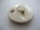 Vintage Satsuma Wisteria Button With Back Mark,  Greek Key Edge - Medium Buttons photo 5