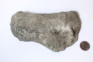 Rare Ancient Stone Axe - Found In Clearwater Idaho 1920s photo