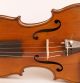 Fine Old Violin Labeled E.  Ceruti 1864 Geige Violon Violino Violine Viola Fiddle String photo 1