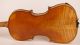 Fine Old Violin Labeled E.  Ceruti 1864 Geige Violon Violino Violine Viola Fiddle String photo 3