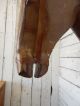 Rustic Welded Metal Life Sized Horse Head Taxidermy Cowboy Western Decor Primitives photo 2