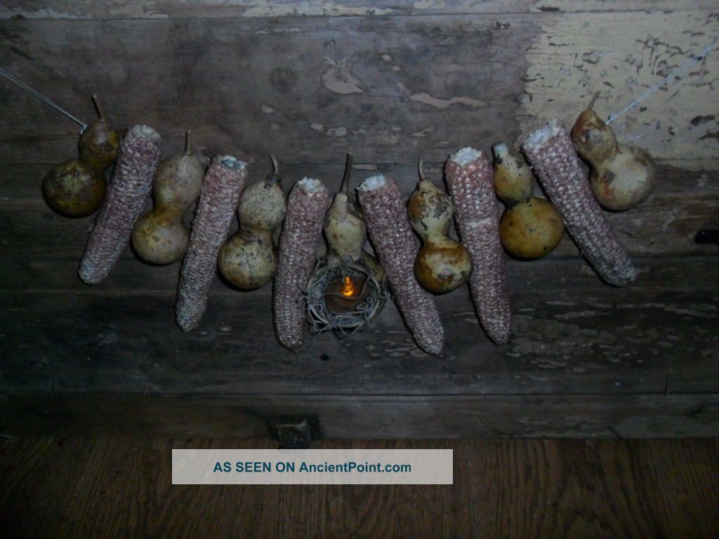 Primitive Early Look Dried Gourd Garland,  W/gourd Light,  Gourds & Cobs,  Homestead Primitives photo