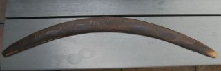 Large Aboriginal Decorated Boomerang Old photo