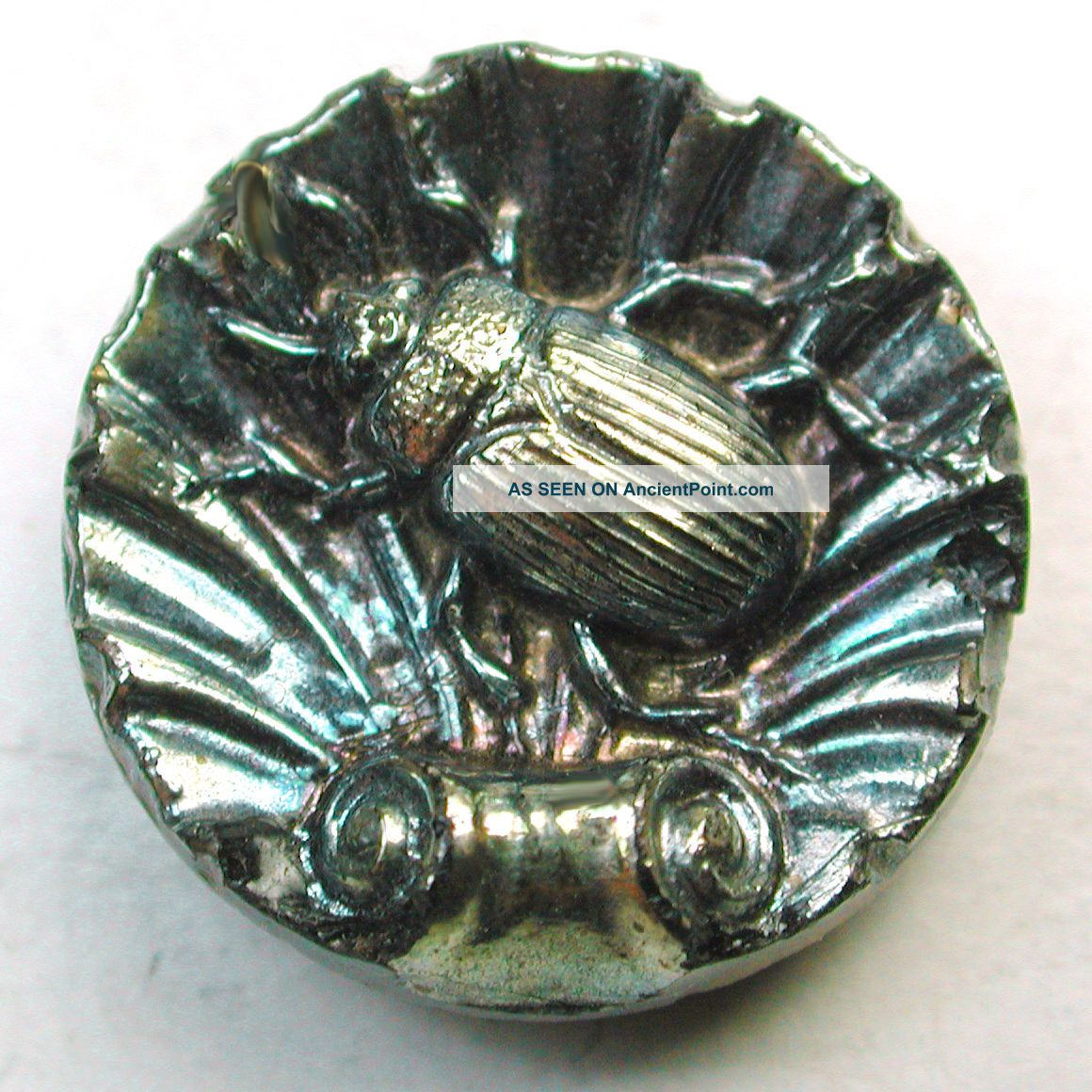 Antique Black Glass Button Beetle On Fancy Seashell W/ Carnival Luster Buttons photo