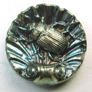 Antique Black Glass Button Beetle On Fancy Seashell W/ Carnival Luster photo