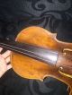 Antique Handmade Violin 1800 ' S Stadelmann School Vienna With Appraisal String photo 2