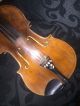 Antique Handmade Violin 1800 ' S Stadelmann School Vienna With Appraisal String photo 3
