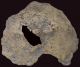 Fragment Of Skull Of Homo Erectus Palaeohungaricus - A Resin Copy Of Neolithic & Paleolithic photo 1