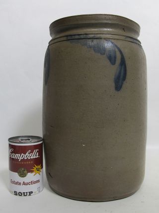 Antique 19th C American Cobalt Decorated Salt Glazed Stoneware Jar Crock 1 Yqz photo