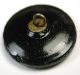 Antique Black Glass Button Beetle On A Leaf W/ Flowers - Silver Luster Buttons photo 1