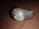 Ancient Pre Columbian Artifact Bird Whistle Blackware Pottery Inca Peru Chimu The Americas photo 4