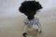 Antique 1920 ' S French Perfume Bottle Made By Vingy Perfume Bottles photo 6
