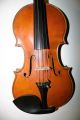 Old Antique 4/4 Italian Violin Label Pedrazzini Cond Exl Sound String photo 1