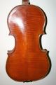 Old Antique 4/4 Italian Violin Label Pedrazzini Cond Exl Sound String photo 2