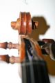 Old Antique 4/4 Italian Violin Label Pedrazzini Cond Exl Sound String photo 5