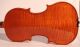 Italian Masterpiece Violin Poggi Violon Violine Violino Powerful Sound String photo 2