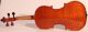 Italian Masterpiece Violin Poggi Violon Violine Violino Powerful Sound String photo 3