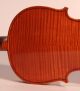 Italian Masterpiece Violin Poggi Violon Violine Violino Powerful Sound String photo 5