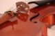 Italian Masterpiece Violin Poggi Violon Violine Violino Powerful Sound String photo 8