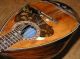 Vintage Master Mandolin Calace 1912 - - Plays And Sounds Great String photo 3