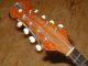 Vintage Master Mandolin Calace 1912 - - Plays And Sounds Great String photo 6