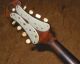 Vintage Master Mandolin Calace 1912 - - Plays And Sounds Great String photo 7