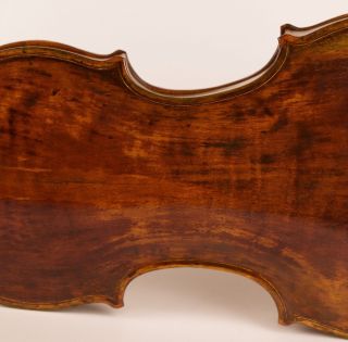 Gorgeous Old Antique Italian Violin Pallotta 1792 Geige Violon Violino Violine photo