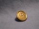 Jacksonian Button W/ Squirrel - Superior Backmark / Db 124 Buttons photo 3
