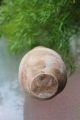 Antique Pottery Jar From Holy Land,  100ad - 100bc? Holy Land photo 8