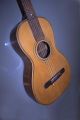 Pre 1900 Antique Old Vintage Early Parlor Guitar - Rosewood String photo 1