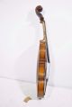 Antique Jacob Stainer Model Violin Anno 1769 W Case,  De Jacquez Violin Bridge String photo 2